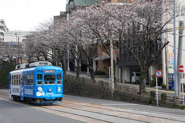 長崎電軌 370形 市役所停留場 桜