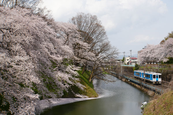JR東日本 キハ101 桜